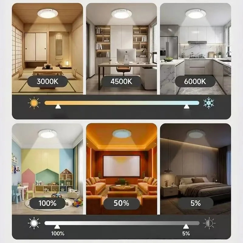 Rechargeable Motion Sensor Ceiling Light with Remote Control